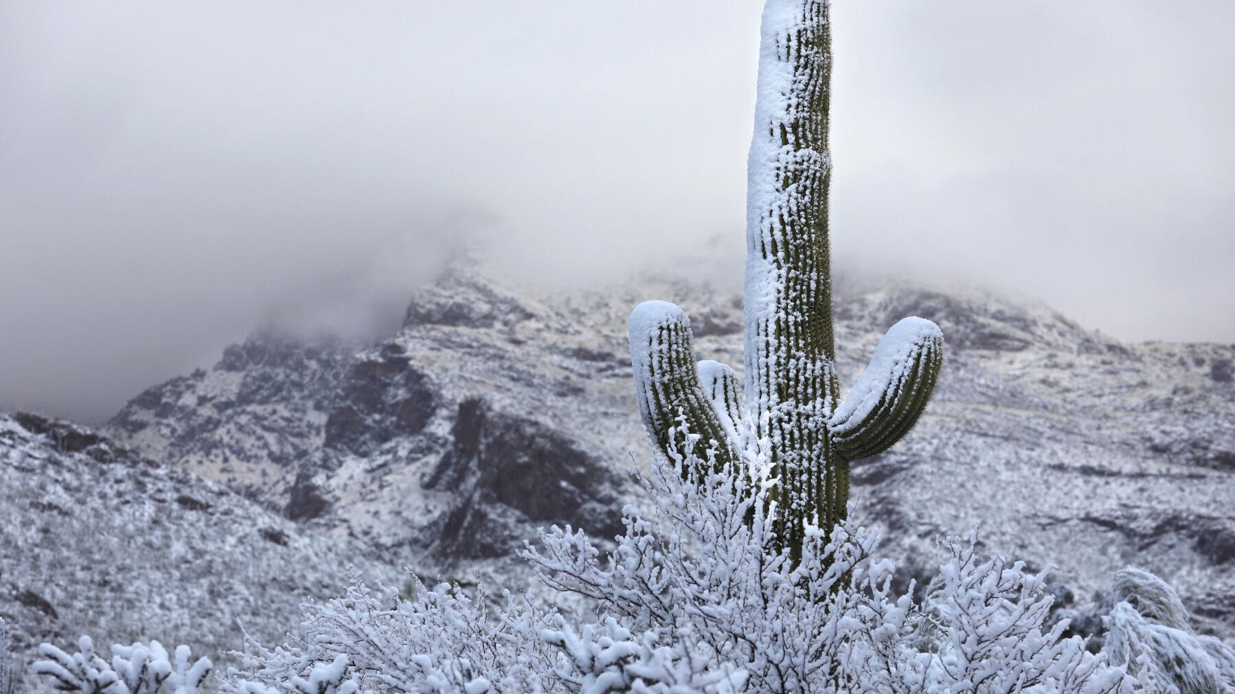 Rainy Christmas possible in Tucson